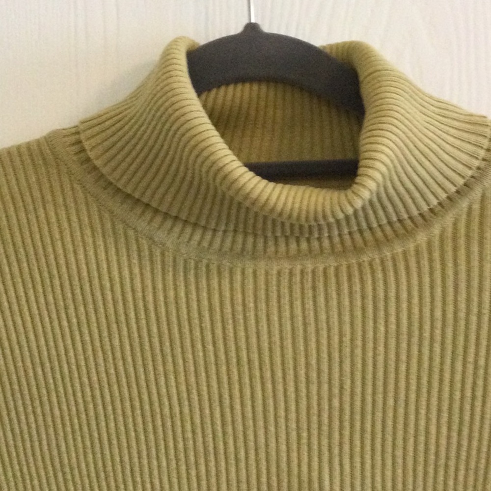 3 for $30 item - Green Laura Petites Turtleneck - Picture 2 of 5
